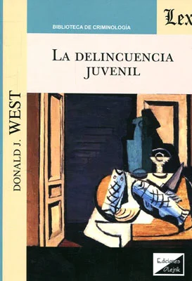 La delincuencia juvenil