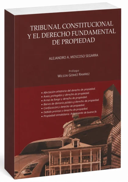 Tribunal Constitucional y el Derecho Fundamental de Propiedad