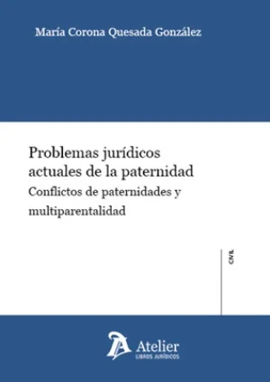 Problemas jurídicos actuales de la paternidad: conflictos de paternidades y multiparentalidad